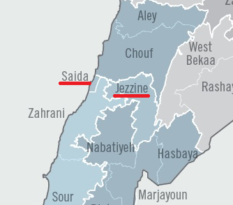 saida jezzine close up